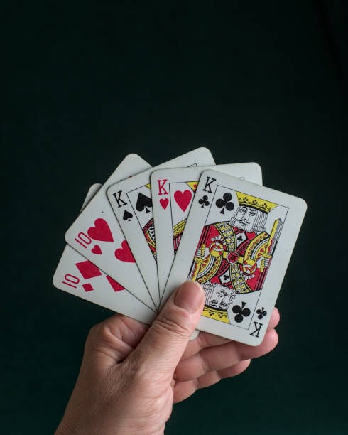 playbd অ্যাপ স্ক্রিন